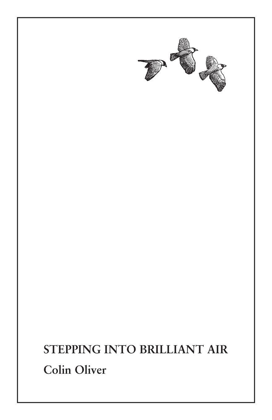 Vorderes Coverbild Stepping Into Brilliant Air