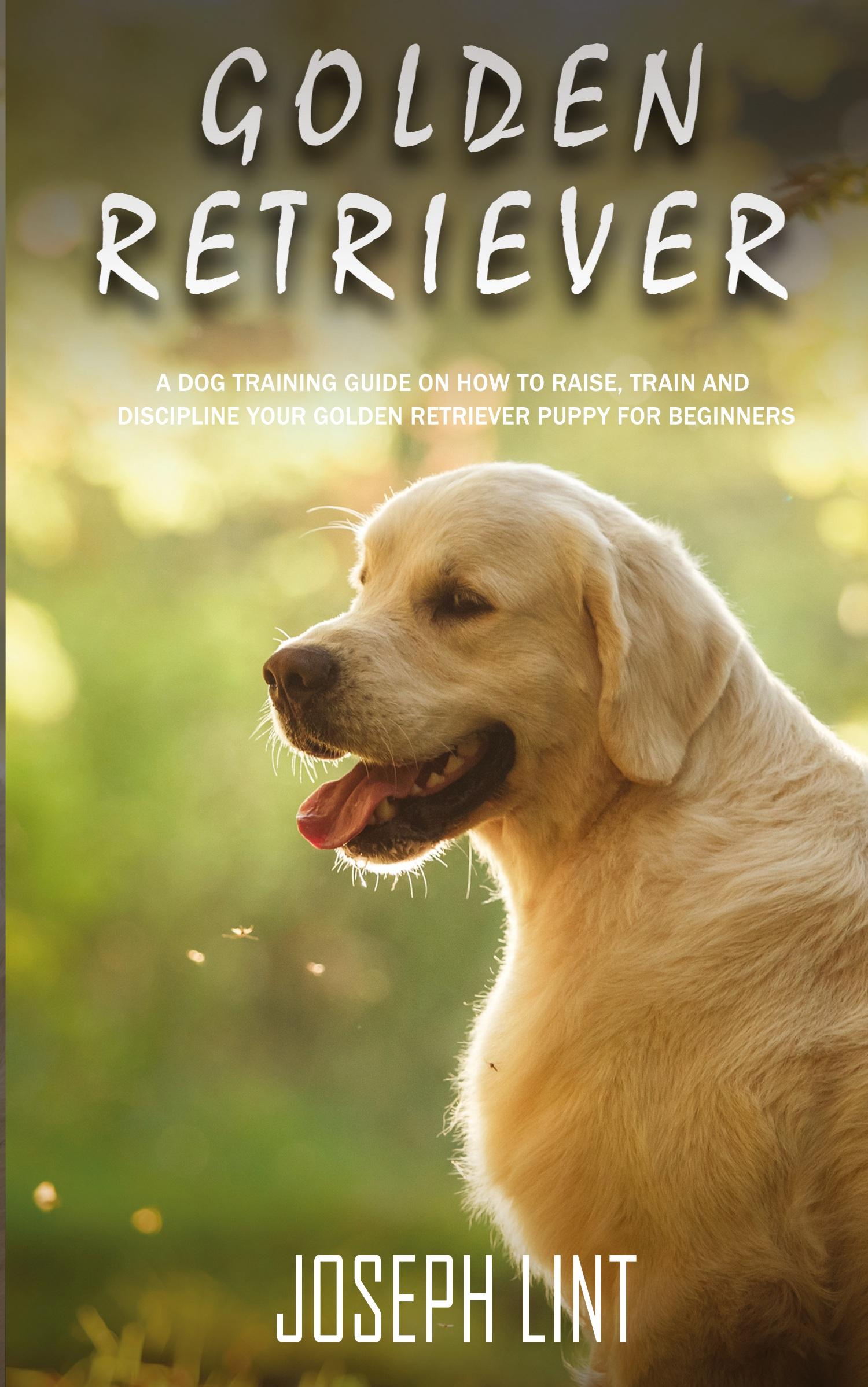 Vorderes Coverbild Golden Retriever