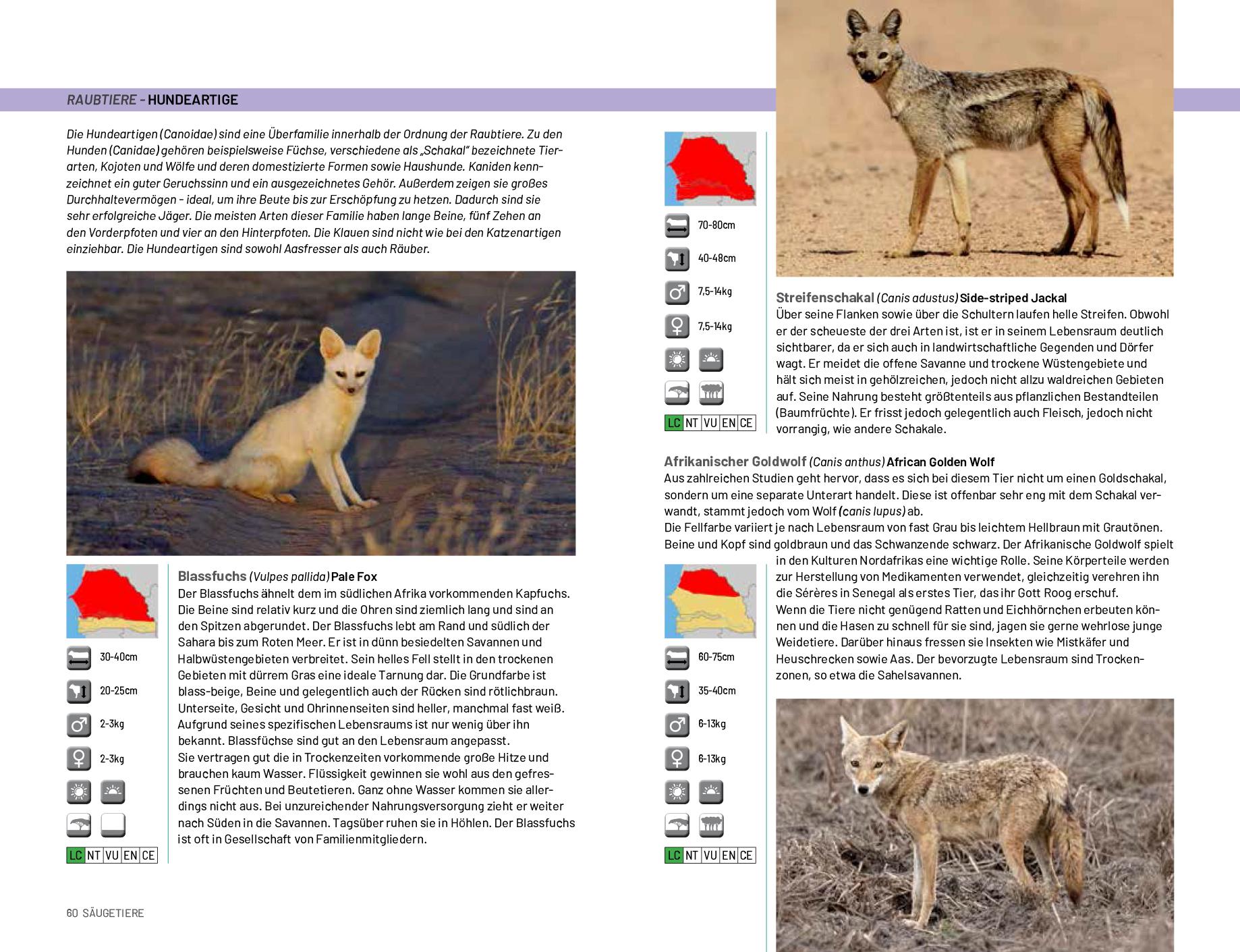 Beispielinhalt (Bild) Safari-Reiseführer Gambia & Senegal