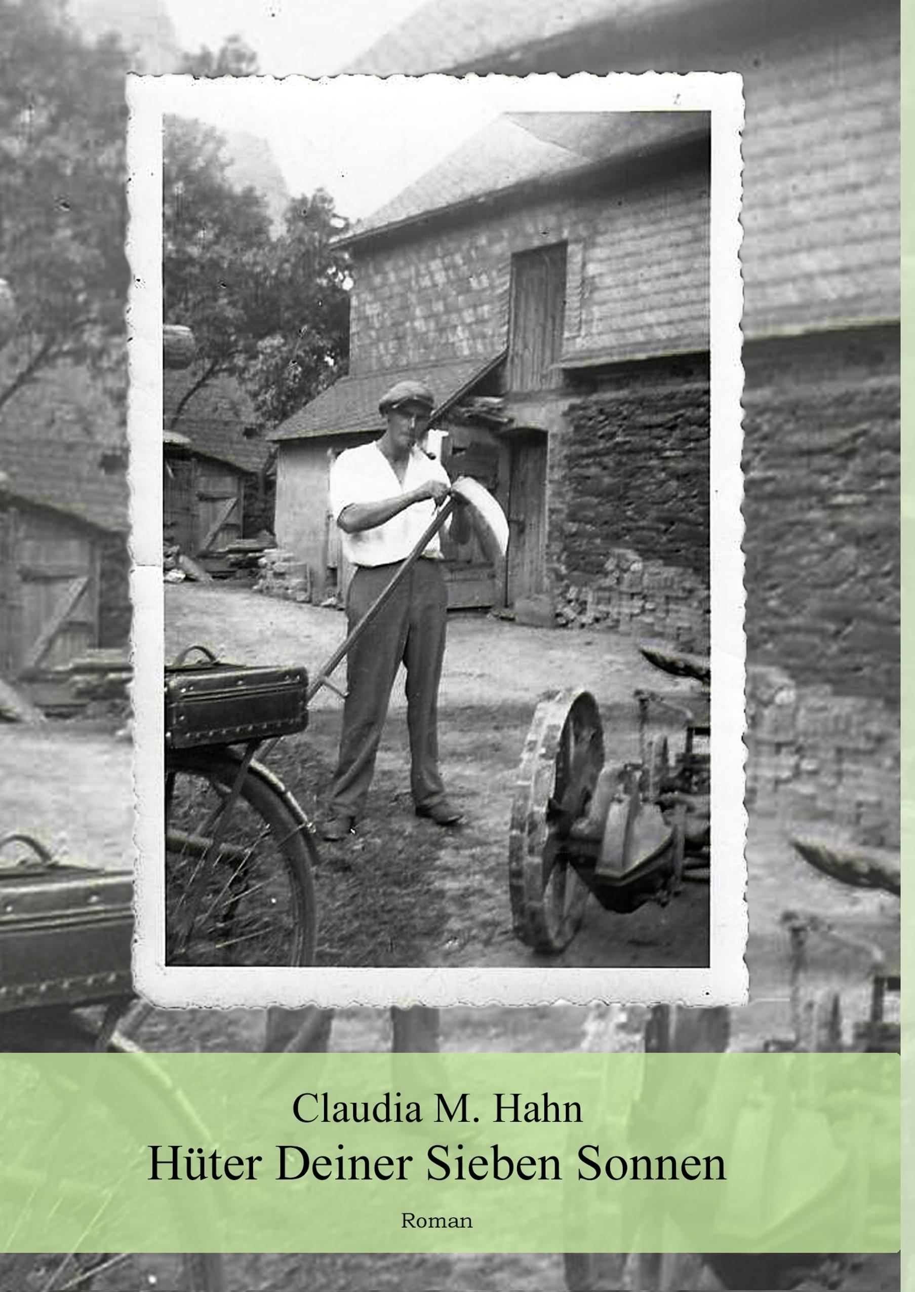 Vorderes Coverbild Hüter Deiner Sieben Sonnen