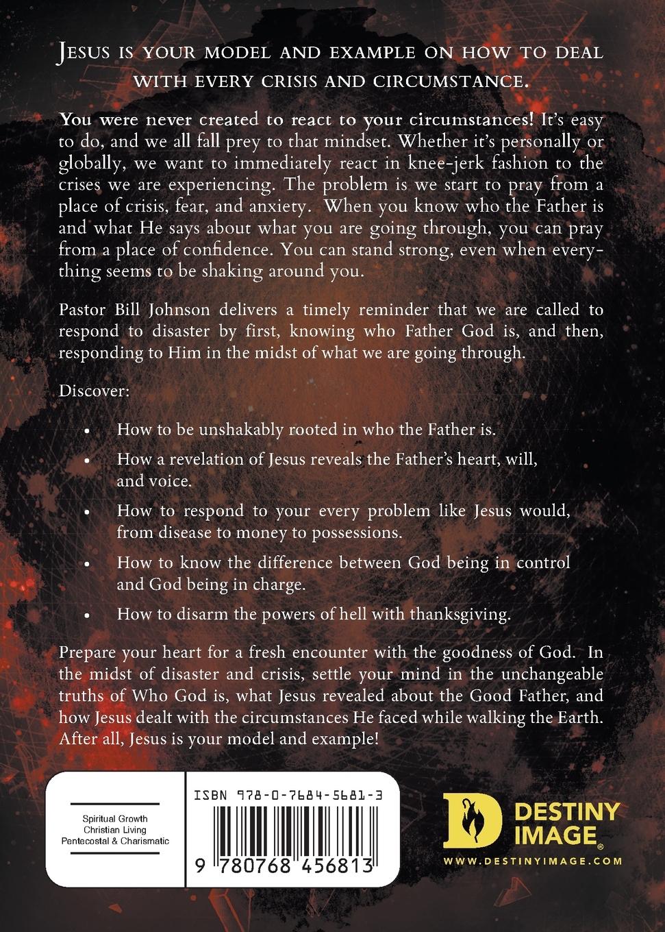 Rückseitencover How to Respond to Disaster