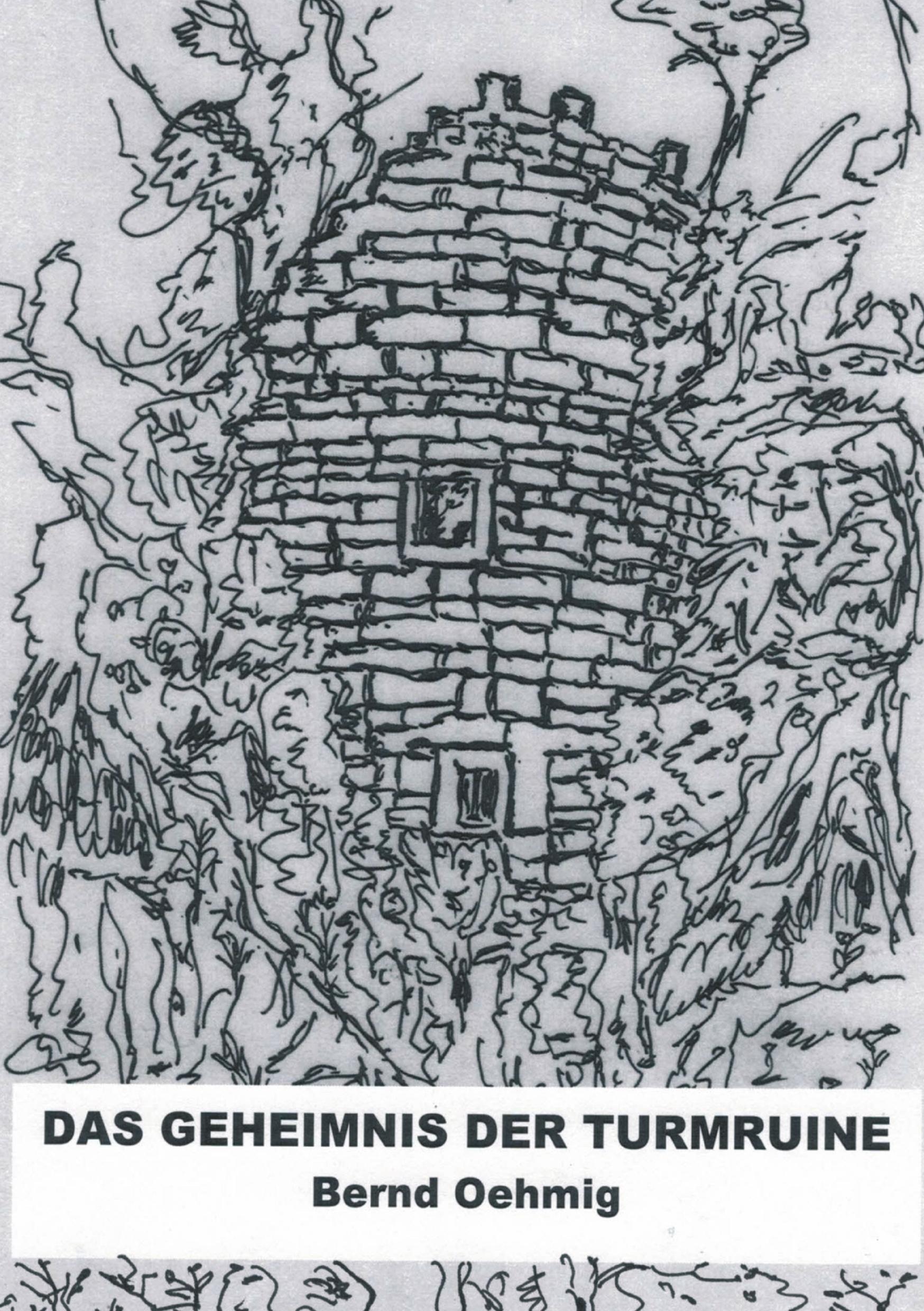 Vorderes Coverbild Das Geheimnis der Turmruine
