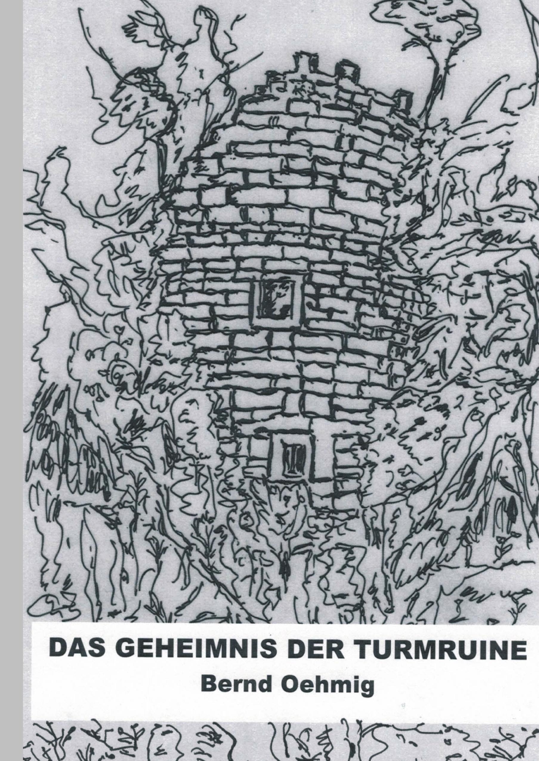 Vorderes Coverbild Das Geheimnis der Turmruine