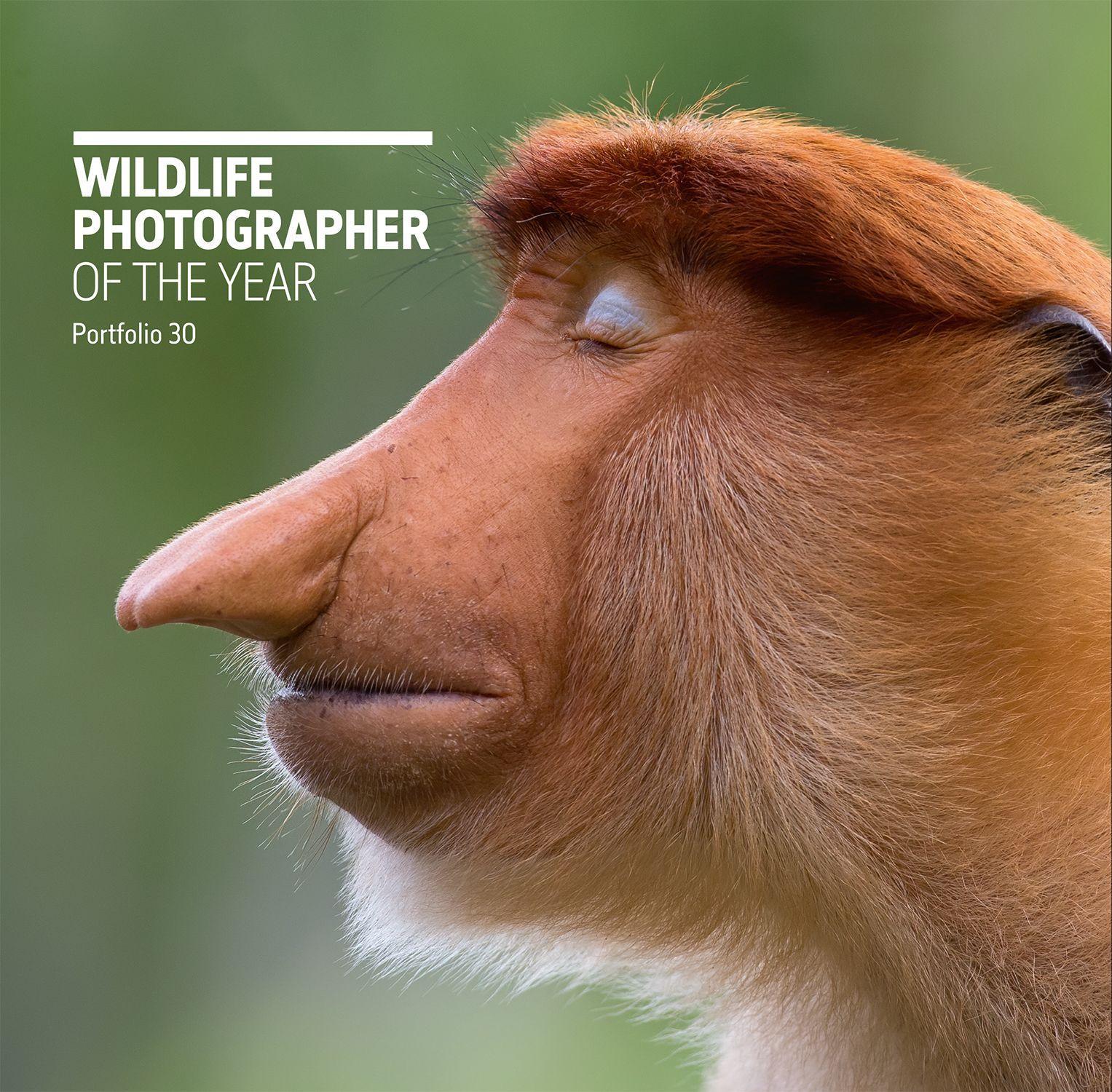 Vorderes Coverbild Wildlife Photographer of the Year: Portfolio 30