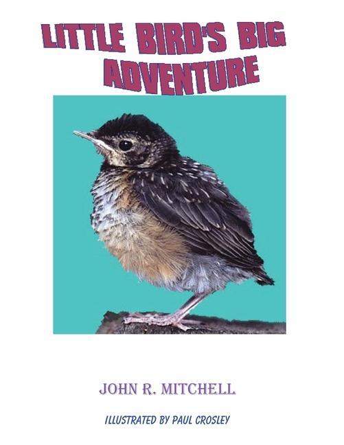 Vorderes Coverbild Little Bird's Big Adventure