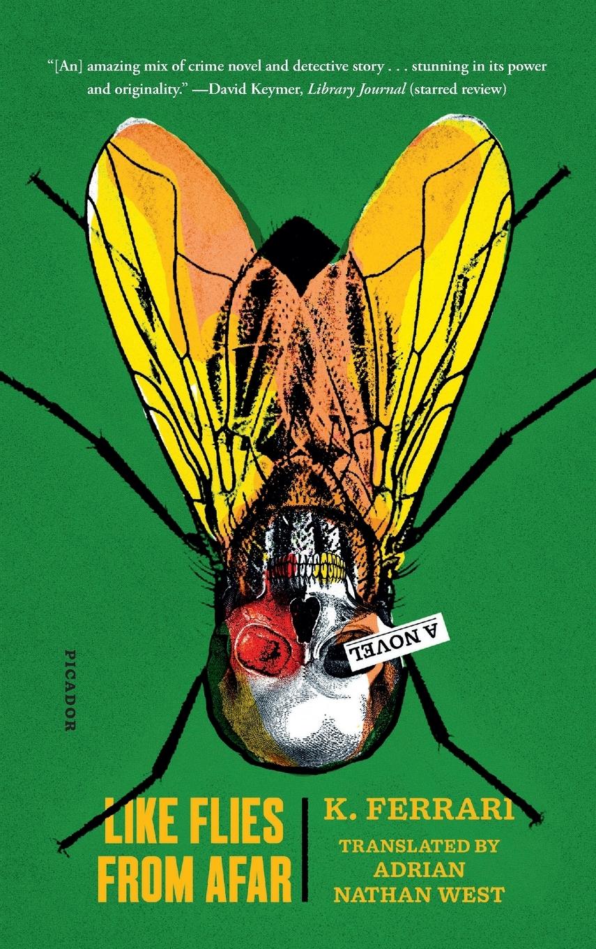 Vorderes Coverbild Like Flies from Afar