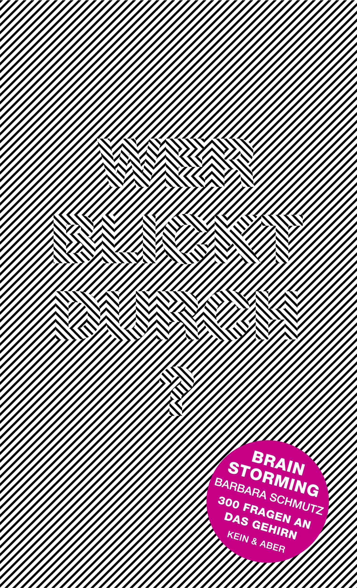 Vorderes Coverbild Brainstorming