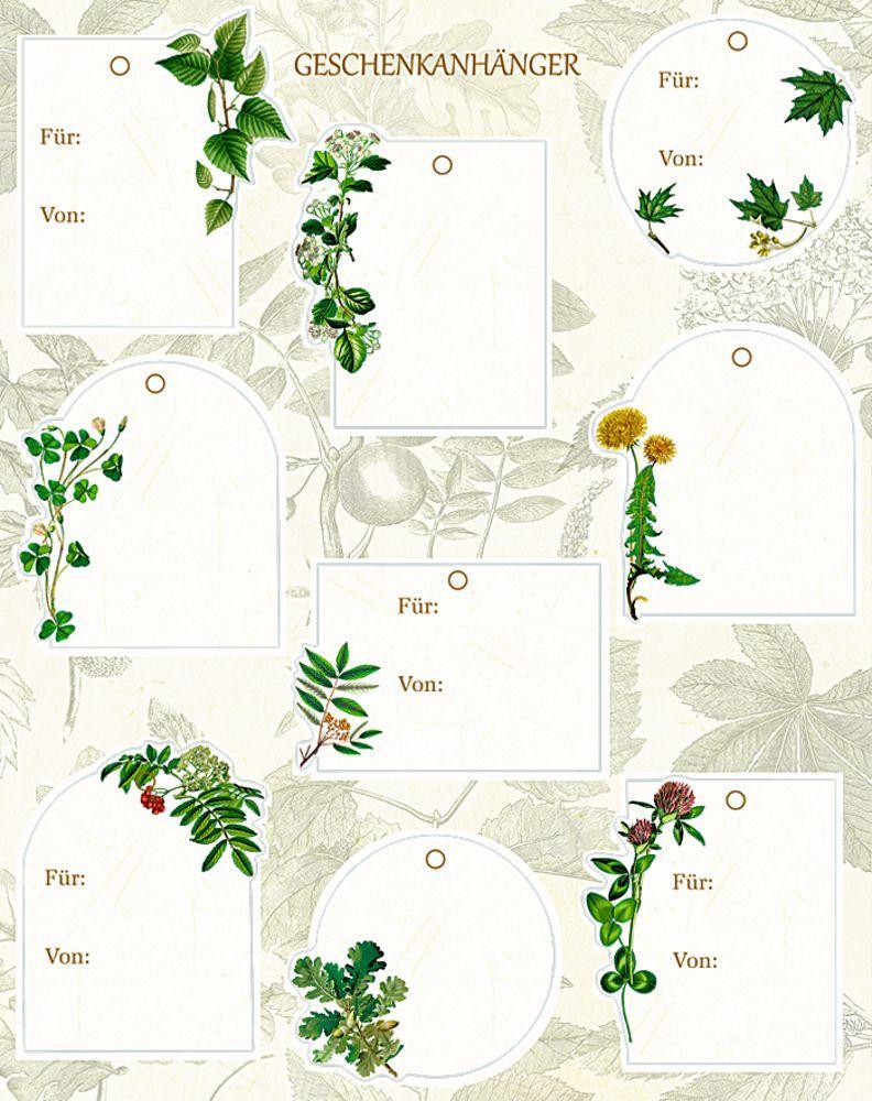 Beispielinhalt (Bild) Geschenkpapier-Buch - Schöner schenken (Sammlung Augustina)