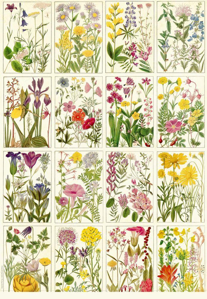 Beispielinhalt (Bild) Geschenkpapier-Buch - Schöner schenken (Sammlung Augustina)