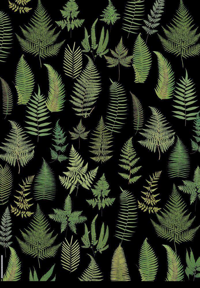 Beispielinhalt (Bild) Geschenkpapier-Buch - Schöner schenken (Sammlung Augustina)