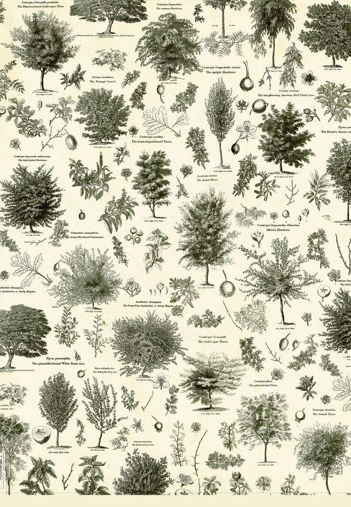 Beispielinhalt (Bild) Geschenkpapier-Buch - Schöner schenken (Sammlung Augustina)