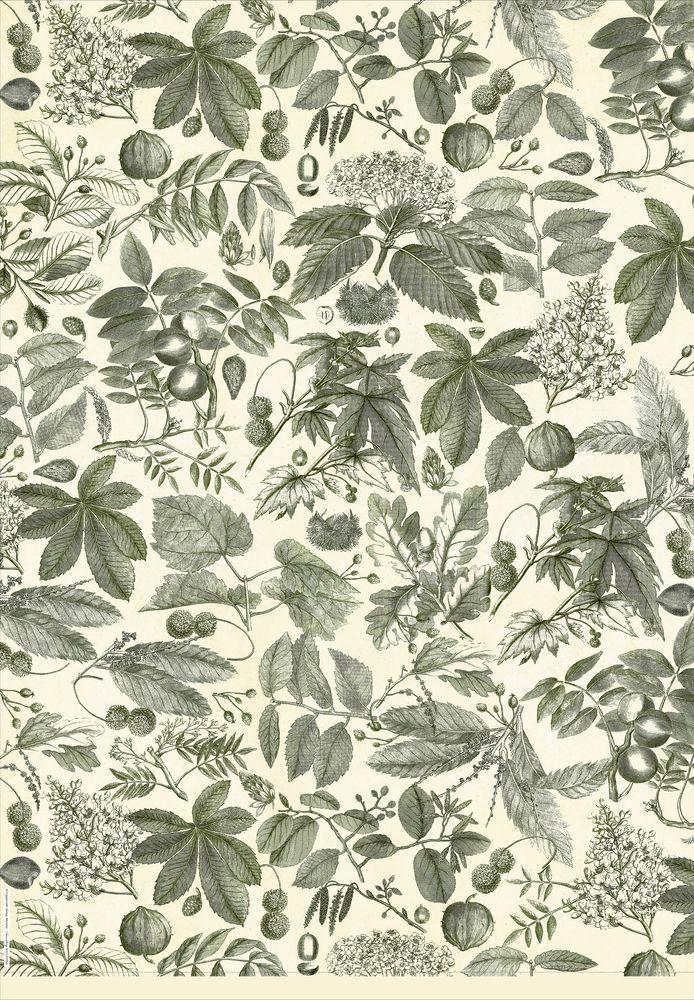 Beispielinhalt (Bild) Geschenkpapier-Buch - Schöner schenken (Sammlung Augustina)