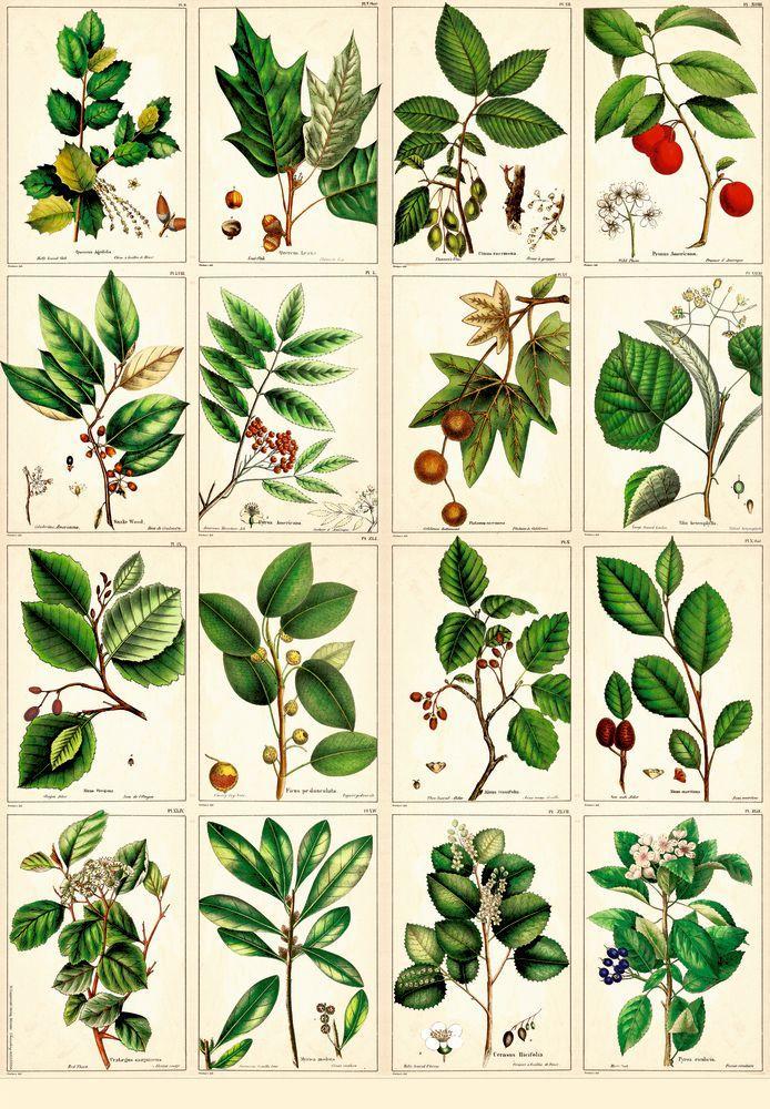 Beispielinhalt (Bild) Geschenkpapier-Buch - Schöner schenken (Sammlung Augustina)