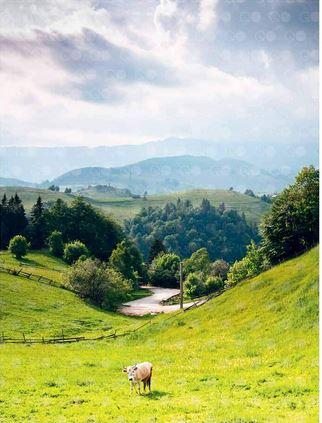 Beispielinhalt (Bild) Carpatia