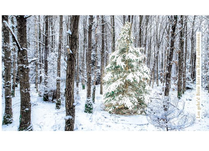 Beispielinhalt (Bild) Escape Christmas - Adventskalender