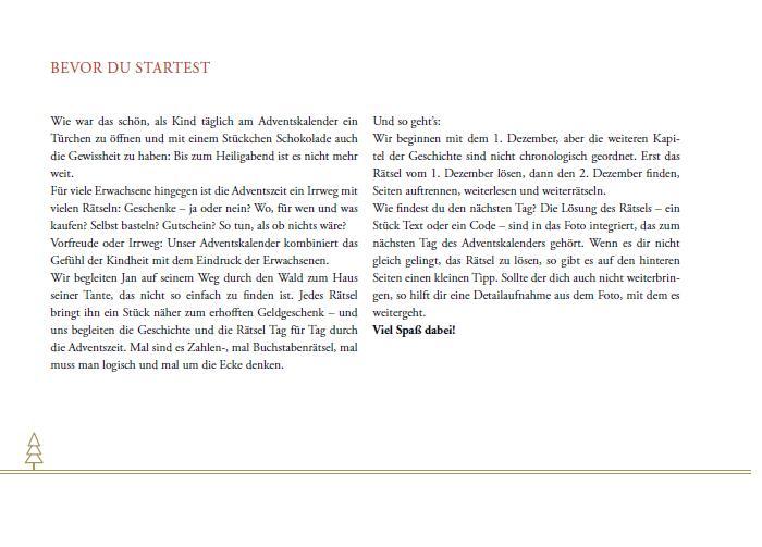 Beispielinhalt (Bild) Escape Christmas - Adventskalender