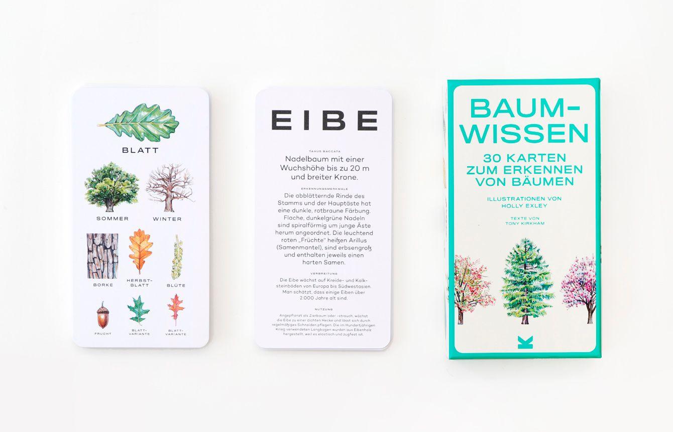 Beispielinhalt (Bild) Baum-Wissen