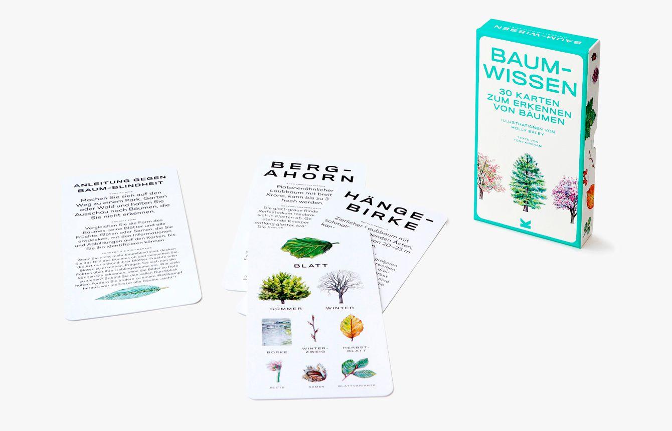 Beispielinhalt (Bild) Baum-Wissen