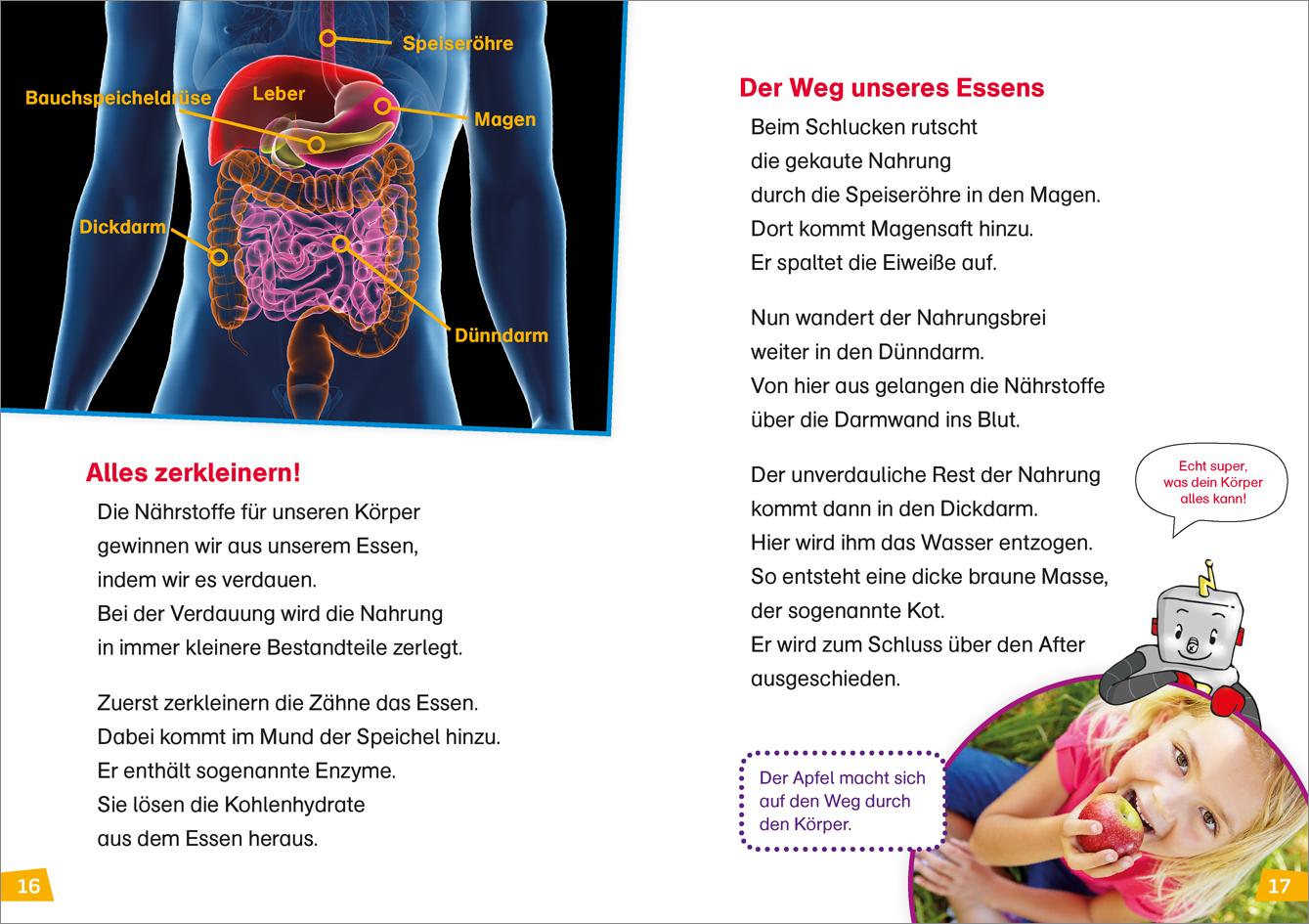 Beispielinhalt (Bild) WAS IST WAS Erstes Lesen Band 14. Unser Körper