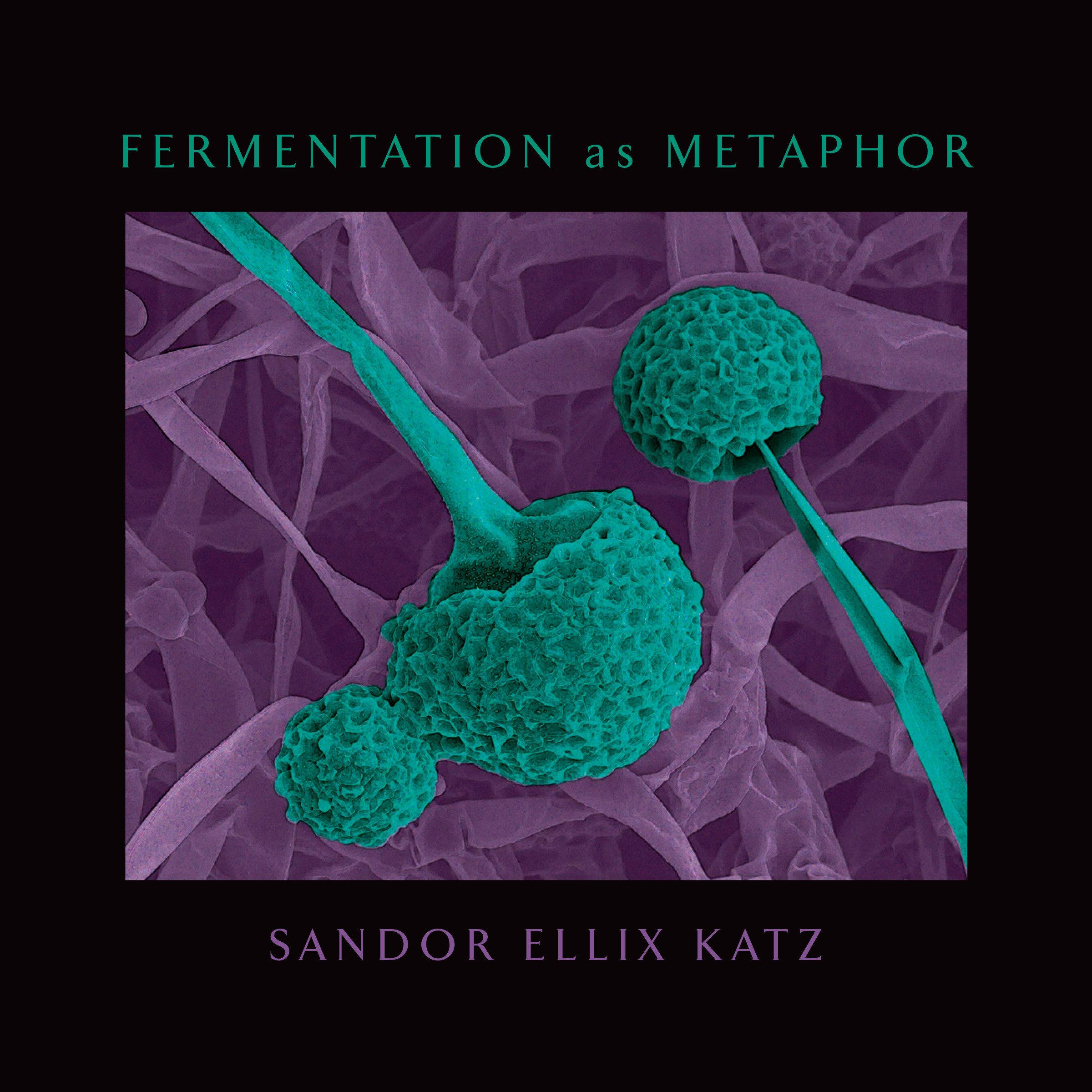 Vorderes Coverbild Fermentation as Metaphor