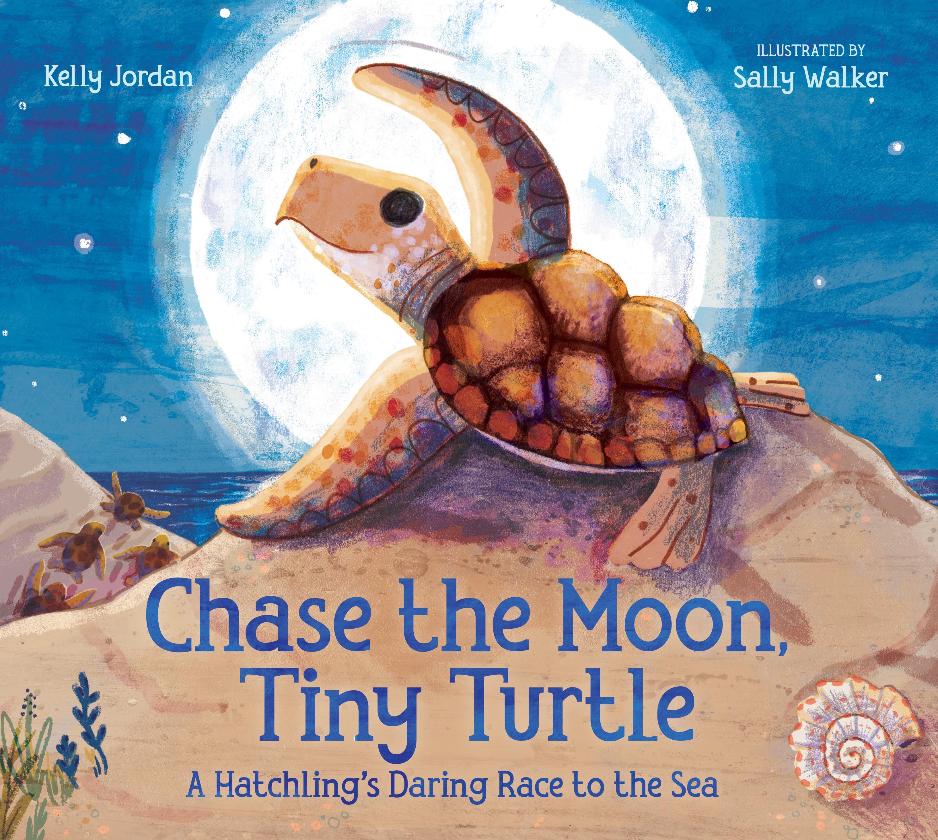 Vorderes Coverbild Chase the Moon, Tiny Turtle