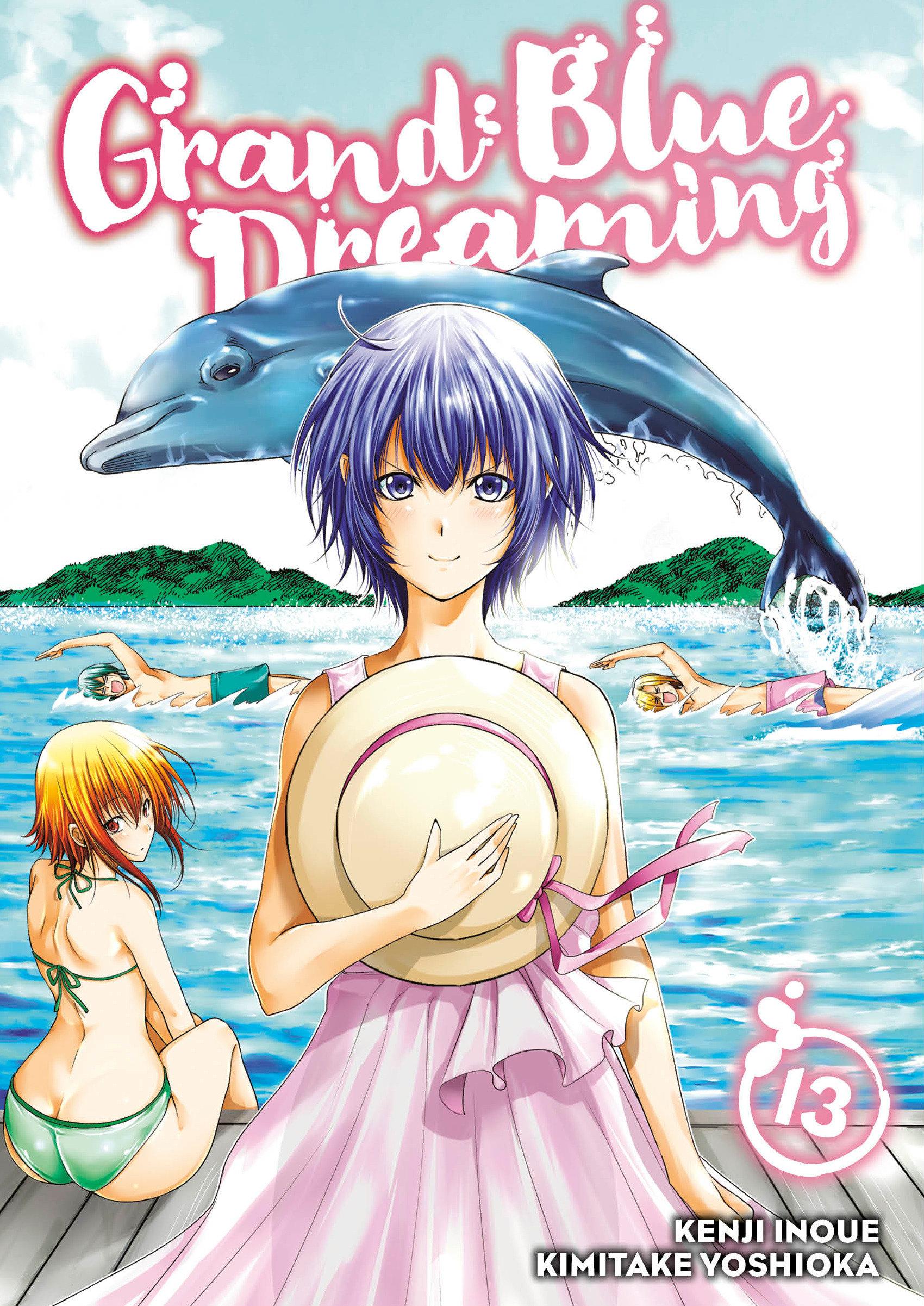Vorderes Coverbild Grand Blue Dreaming 13