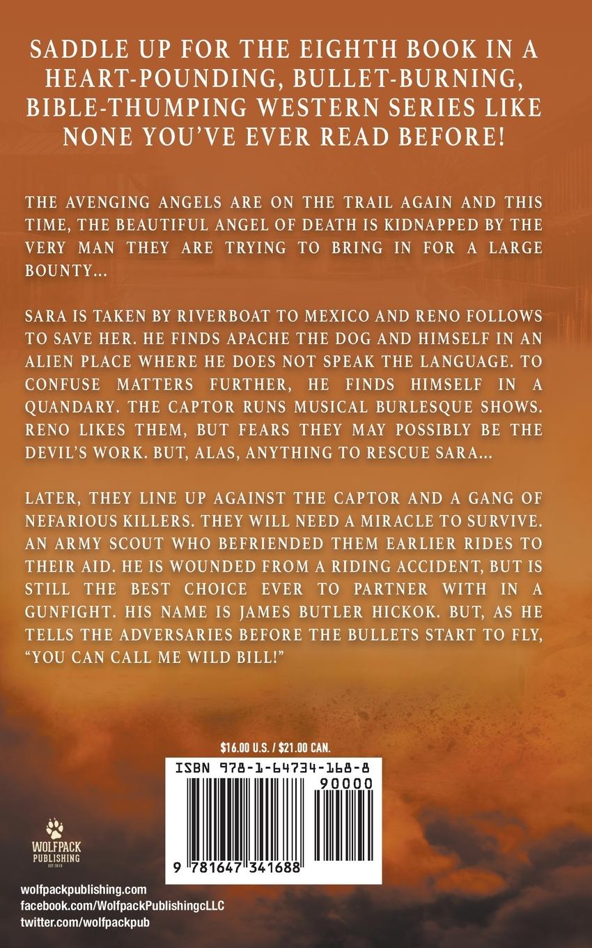 Rückseitencover Avenging Angels