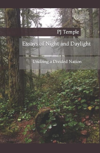Vorderes Coverbild Essays of Night and Daylight: Undoing a Divided Nation