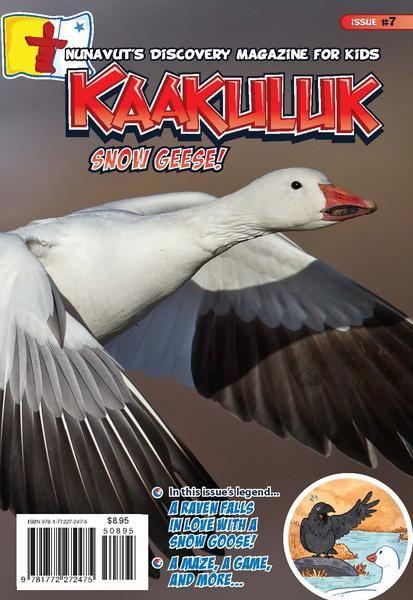 Vorderes Coverbild Kaakuluk: Snow Geese!