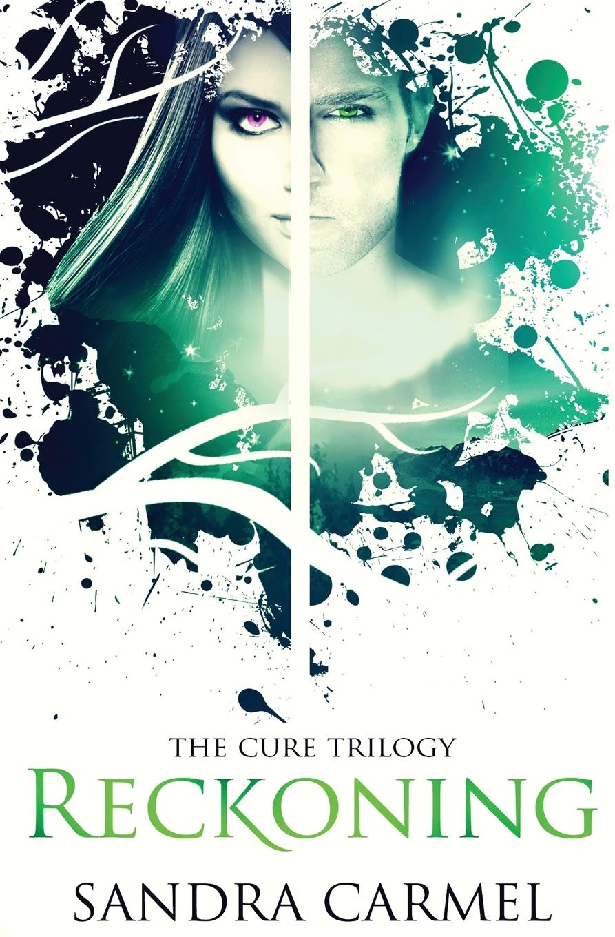 Vorderes Coverbild Reckoning