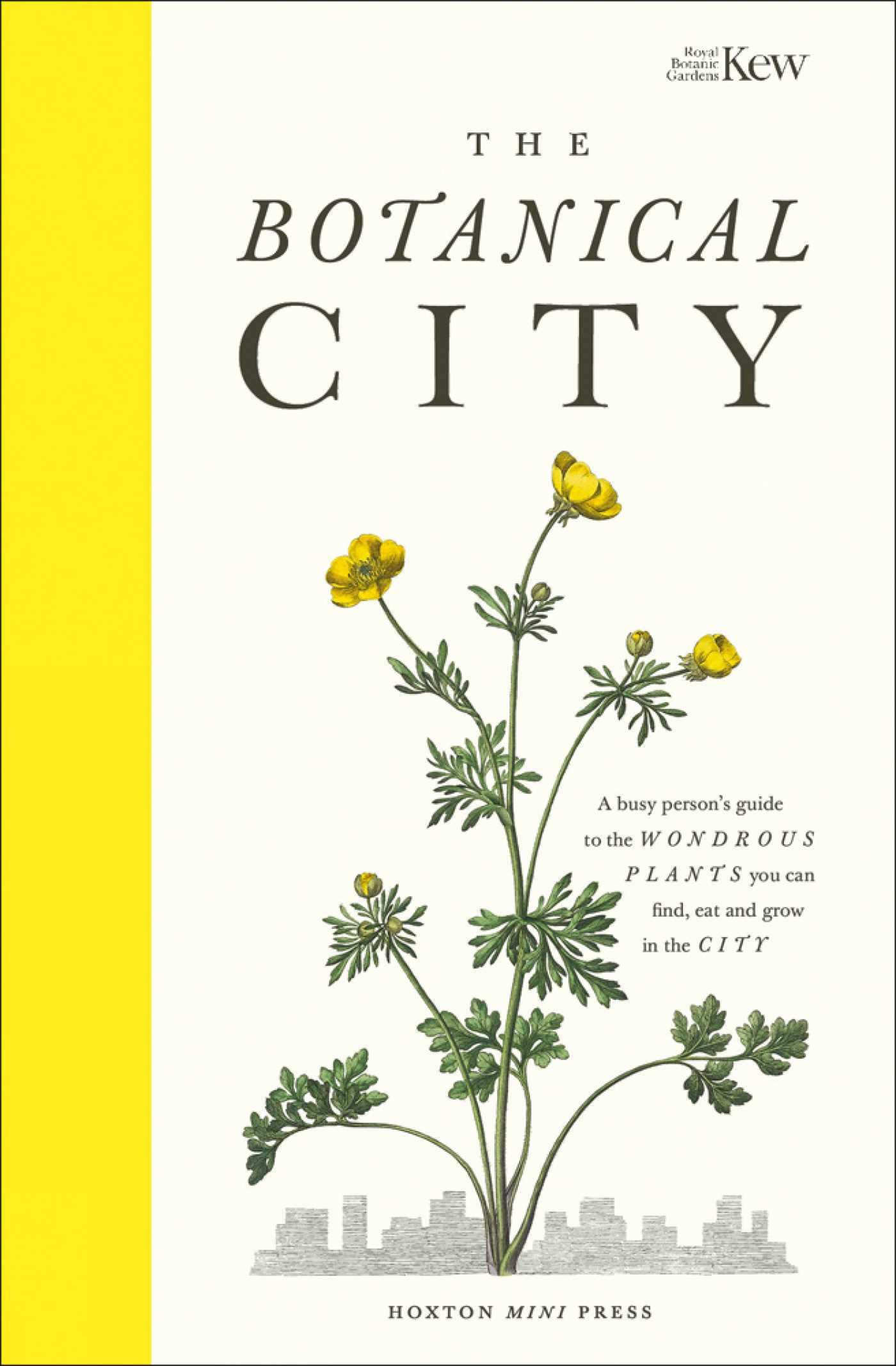 Vorderes Coverbild The Botanical City