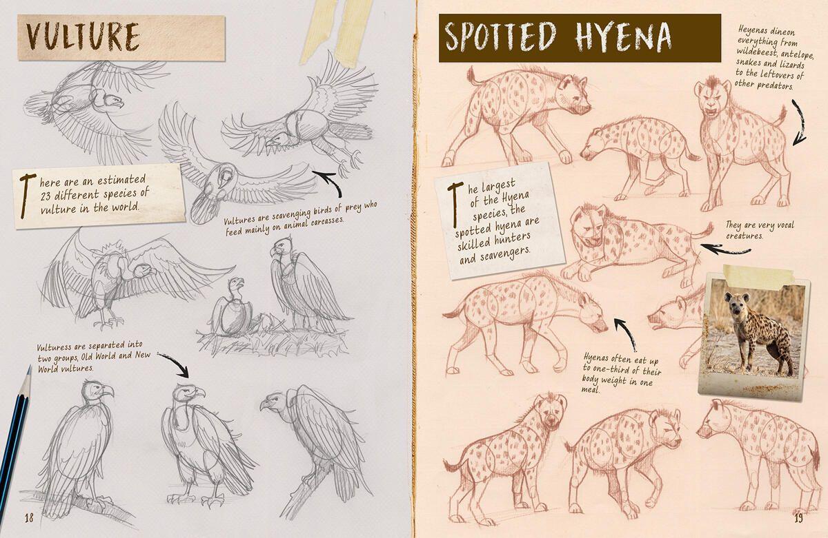 Beispielinhalt (Bild) Draw 1,001 Animals