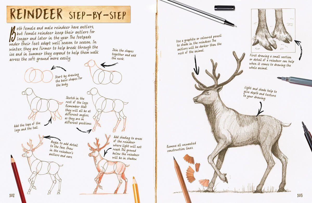 Beispielinhalt (Bild) Draw 1,001 Animals