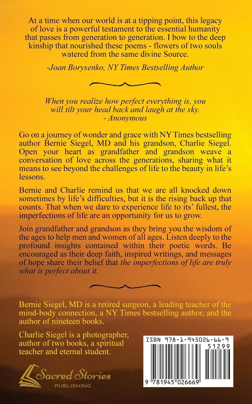 Rückseitencover When You Realize How Perfect Everything Is