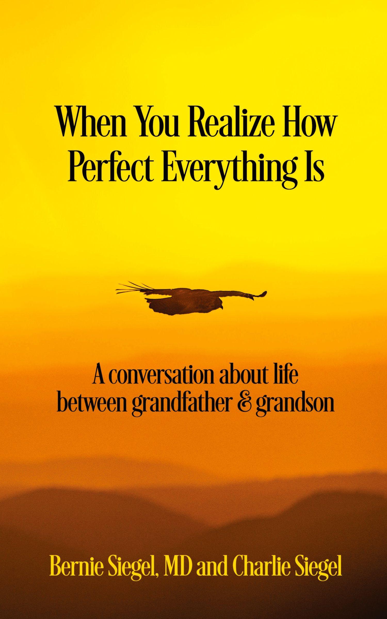 Vorderes Coverbild When You Realize How Perfect Everything Is