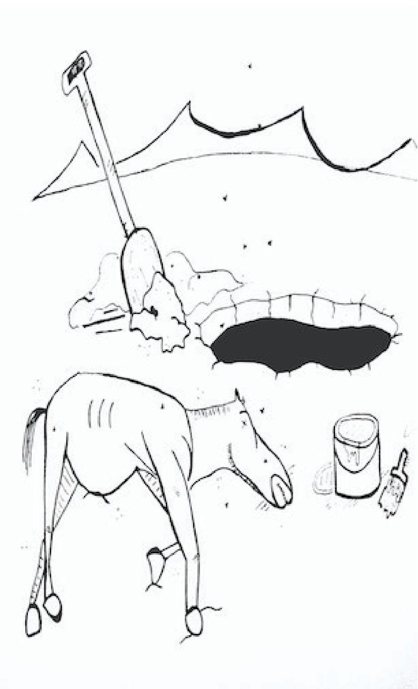 Vorderes Coverbild Bury Your Horses