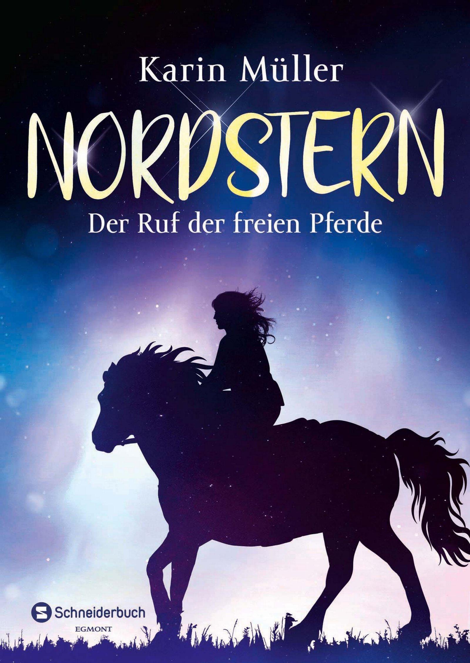 Vorderes Coverbild Nordstern - Der Ruf der freien Pferde