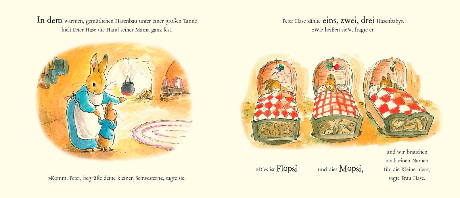 Beispielinhalt (Bild) Großer Bruder Peter Hase