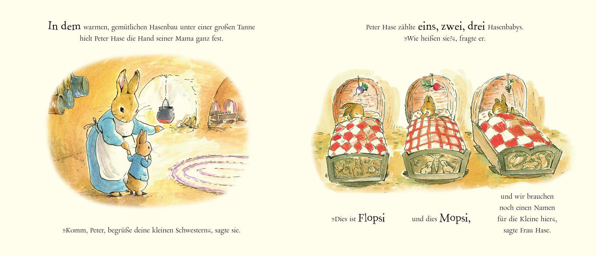 Beispielinhalt (Bild) Großer Bruder Peter Hase