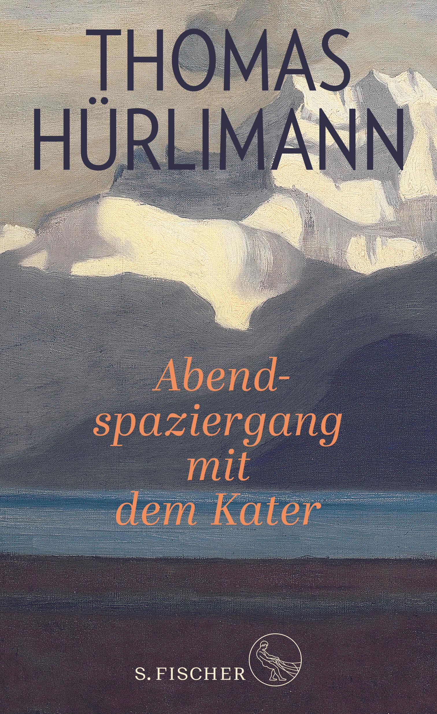 Vorderes Coverbild Abendspaziergang mit dem Kater