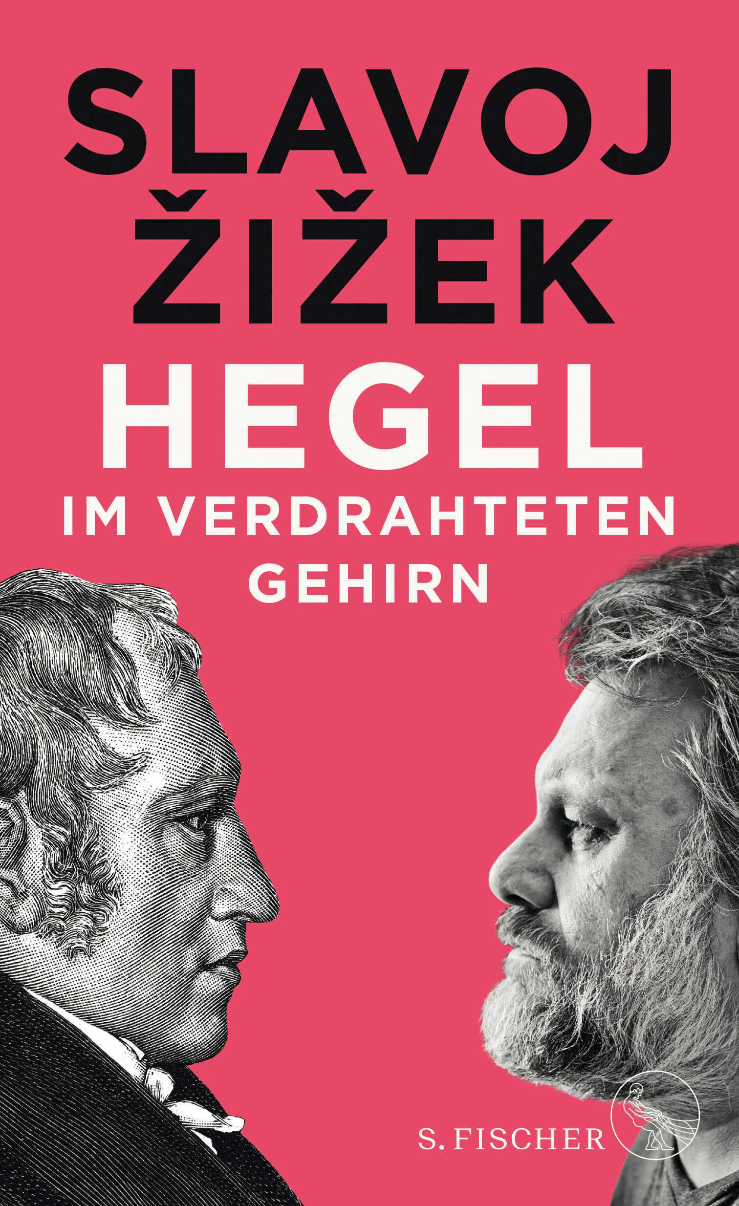 Vorderes Coverbild Hegel im verdrahteten Gehirn