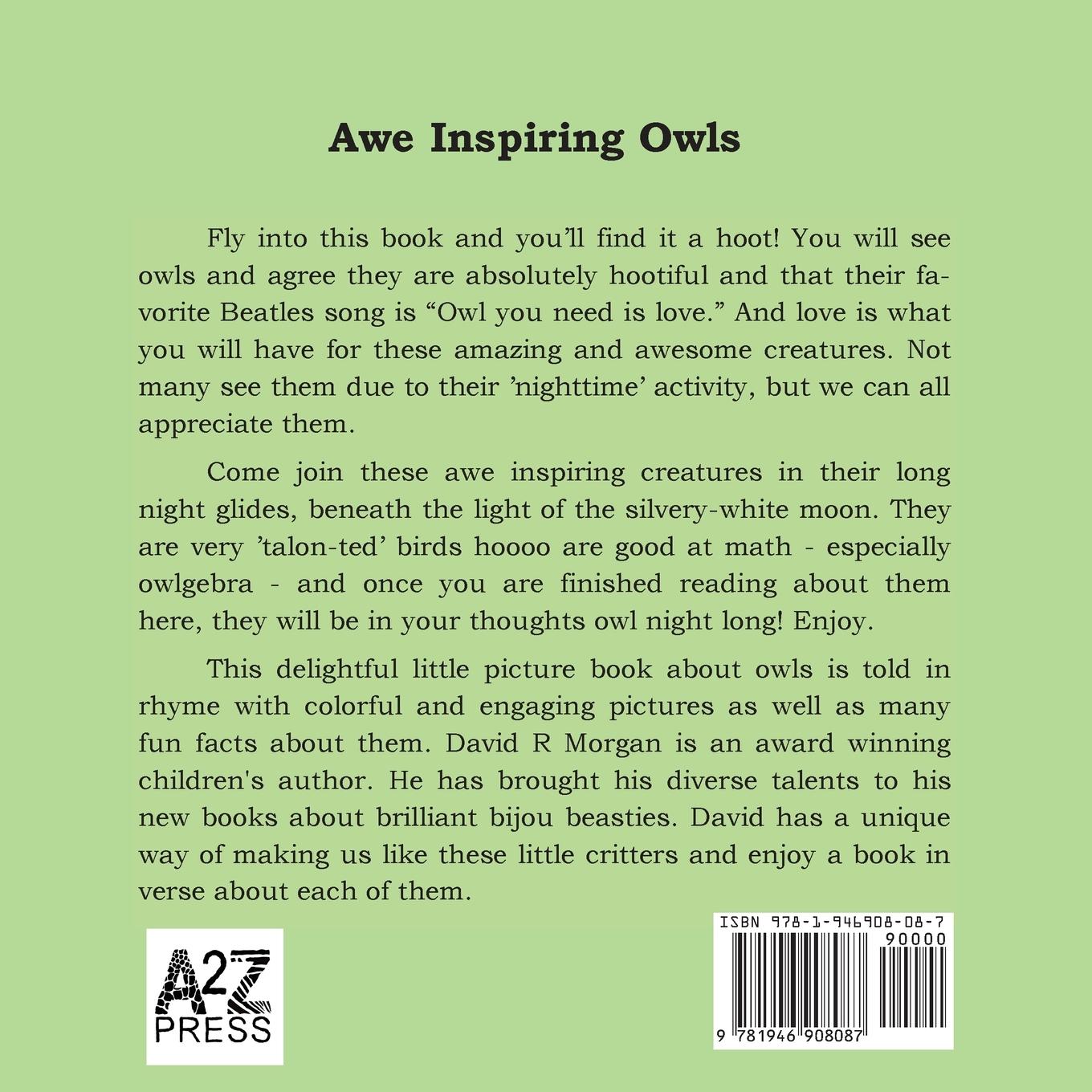 Rückseitencover Awe Inspiring Owls