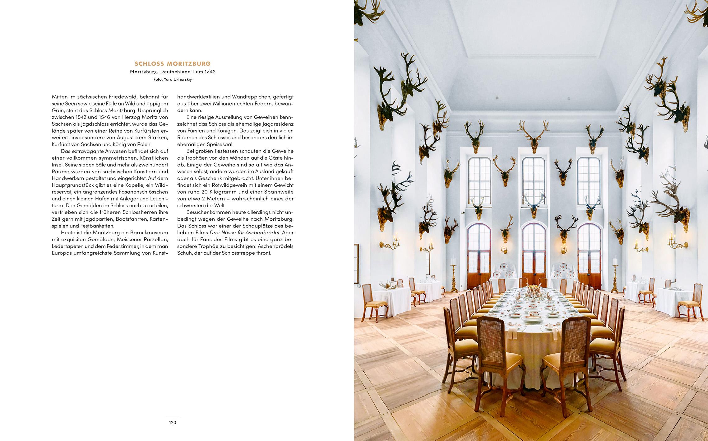Beispielinhalt (Bild) Accidentally Wes Anderson (Deutsche Ausgabe)