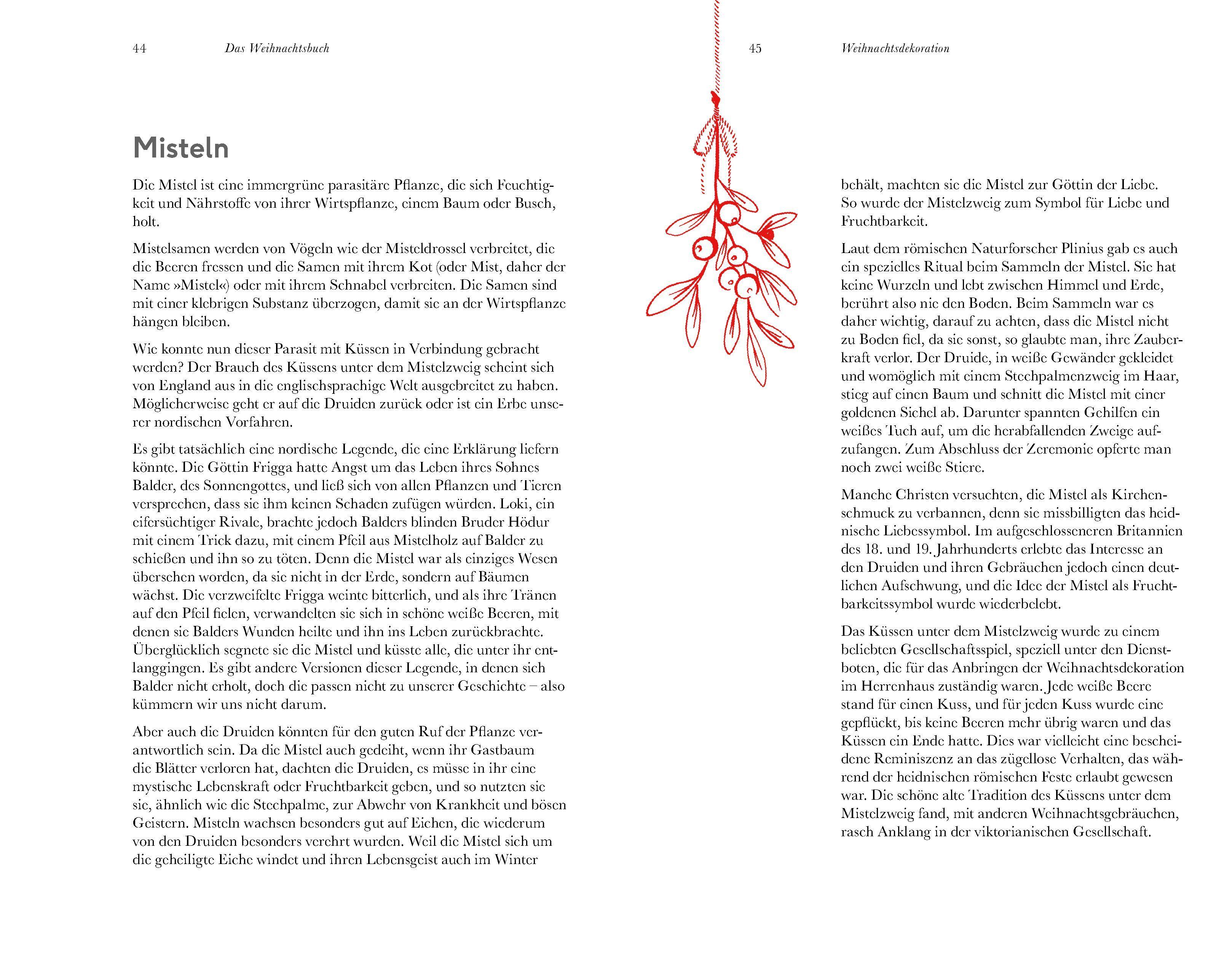 Beispielinhalt (Bild) Das Weihnachtsbuch