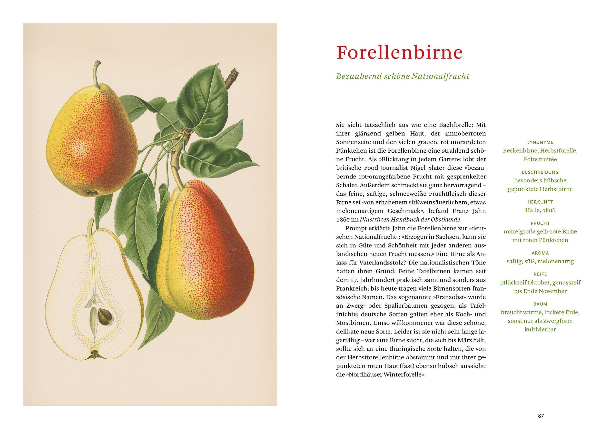 Beispielinhalt (Bild) Die alten Obstsorten