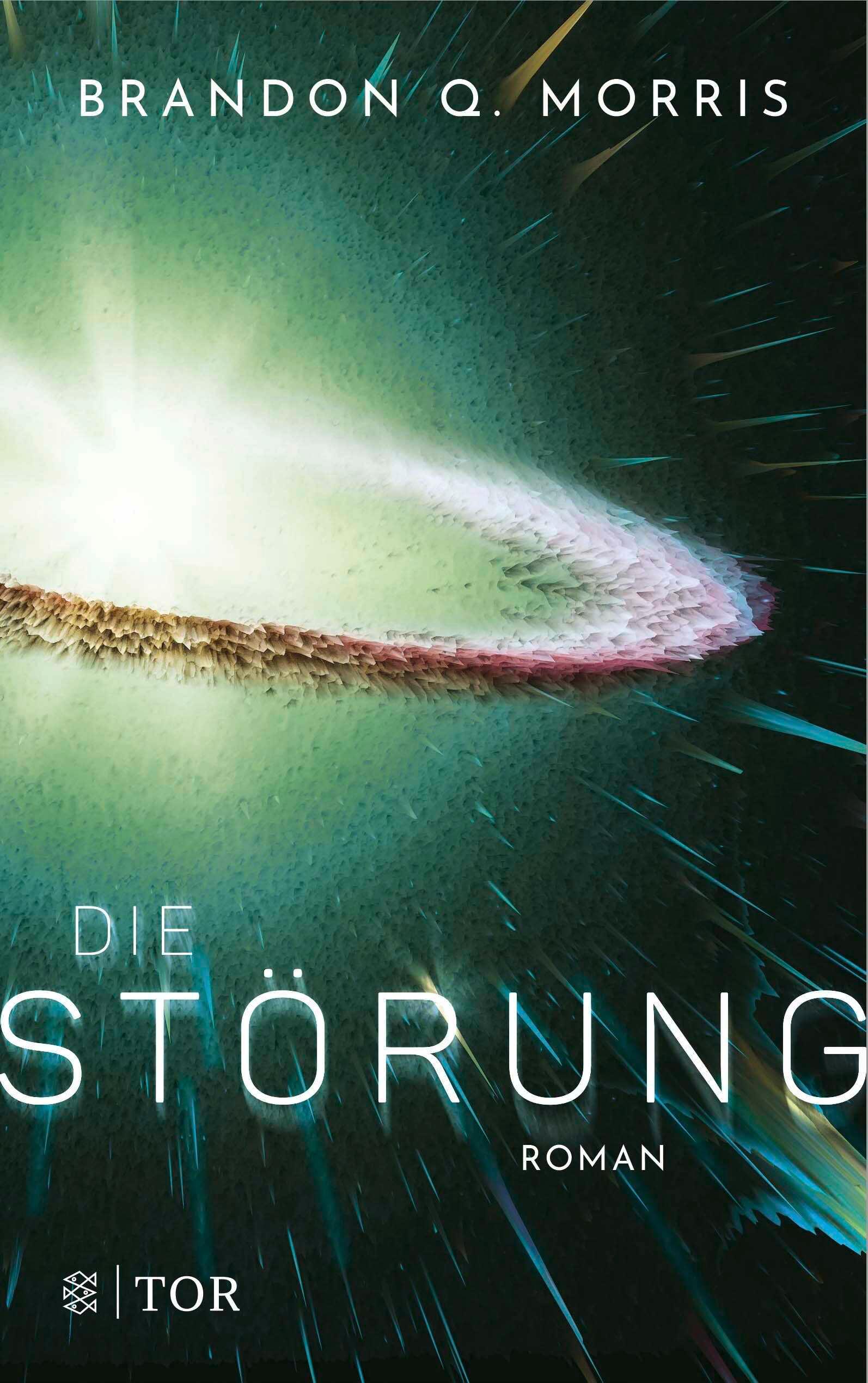 Vorderes Coverbild Die Störung