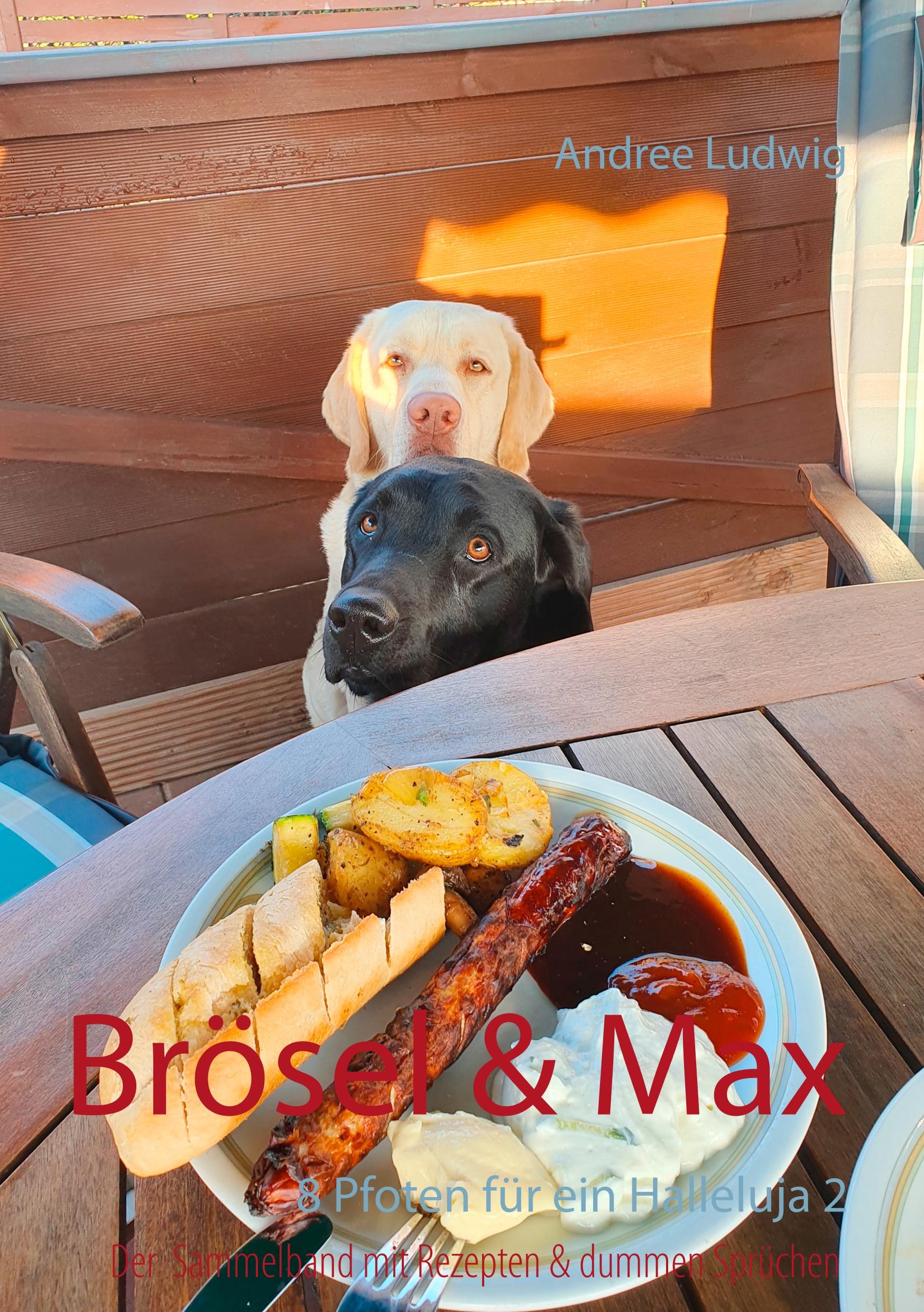 Vorderes Coverbild Brösel & Max