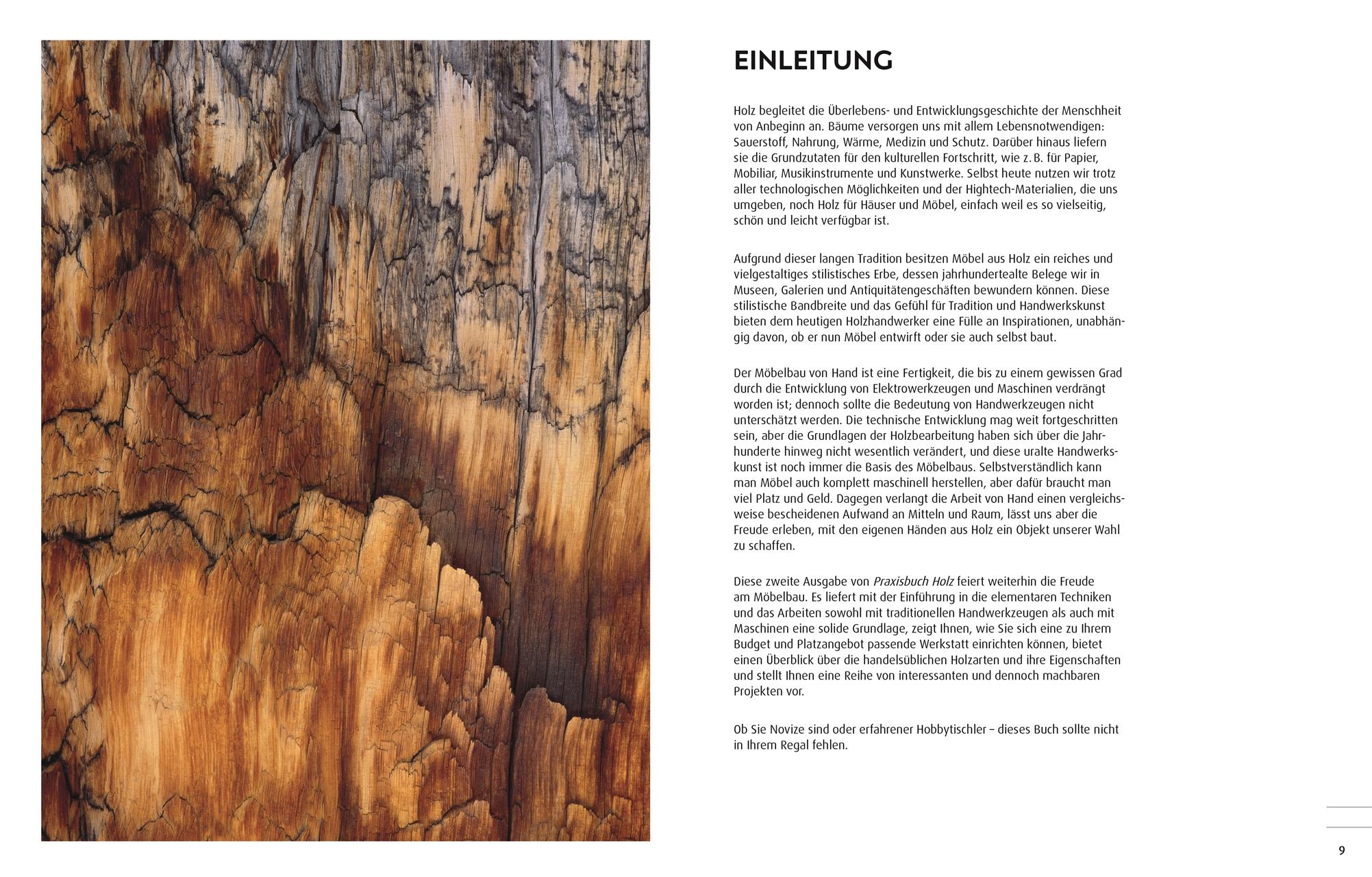 Beispielinhalt (Bild) Praxisbuch Holz