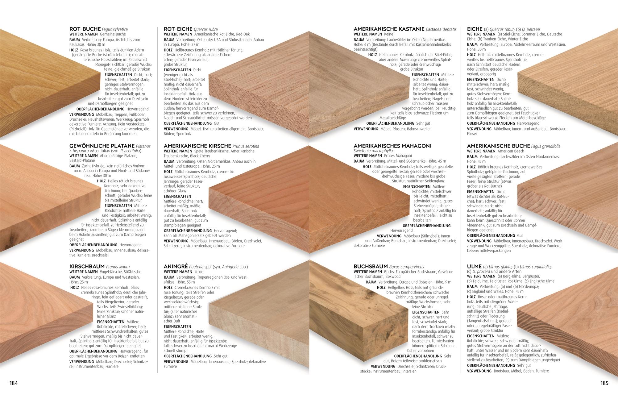 Beispielinhalt (Bild) Praxisbuch Holz