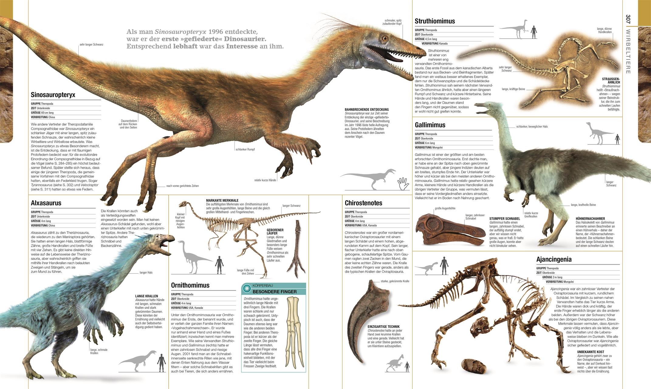 Beispielinhalt (Bild) Dinosaurier und andere Lebewesen der Urzeit